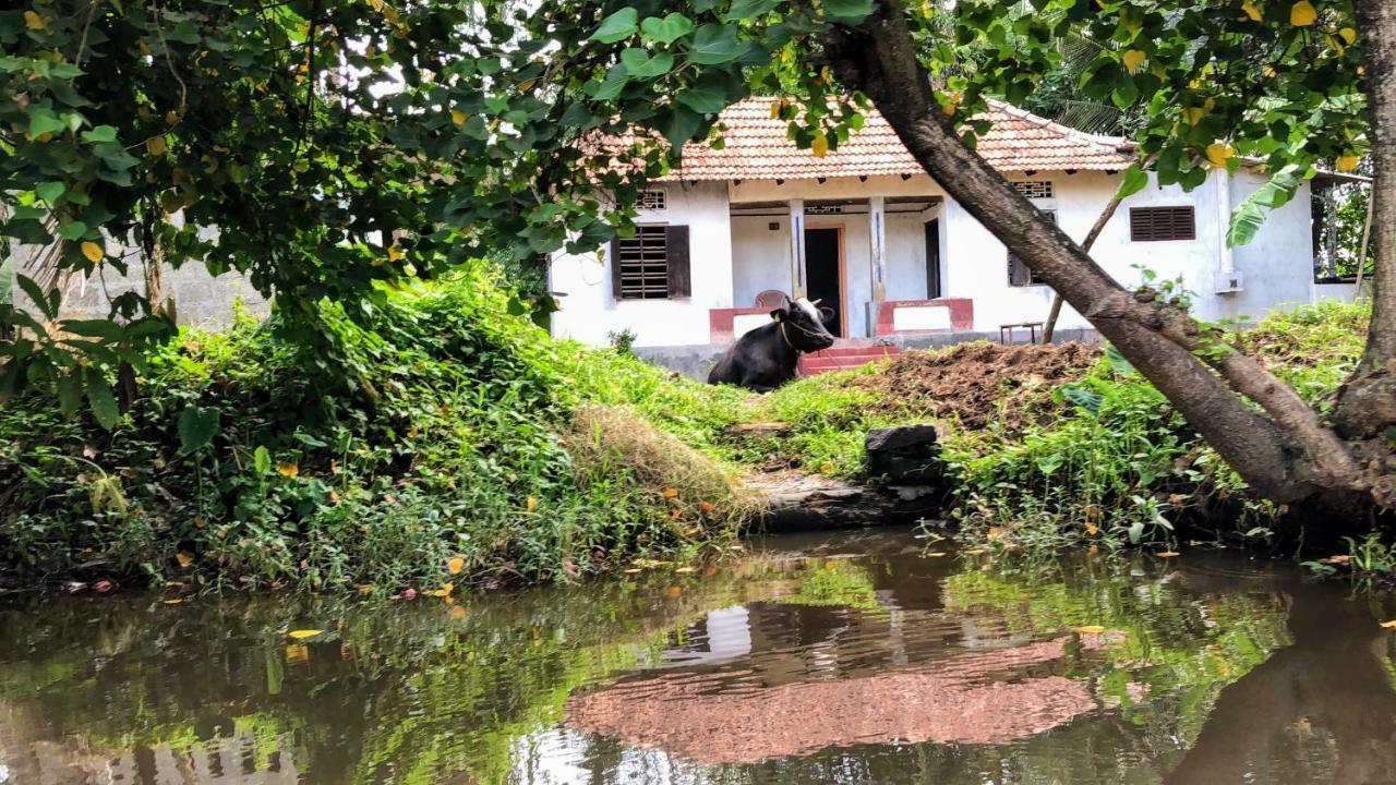 Ayana'S Homestay Alappuzha Экстерьер фото